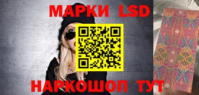 крисы Можга