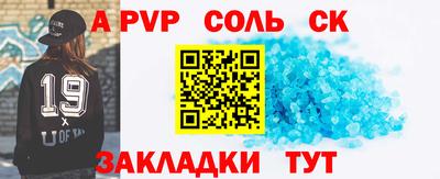 крисы Можга
