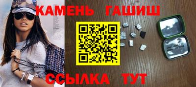 крисы Можга